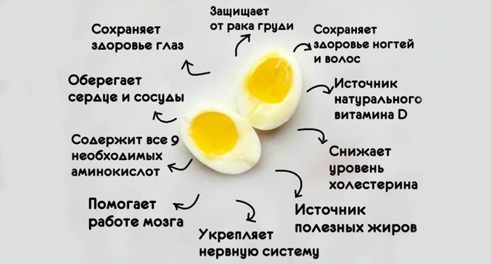 Полезные свойства яиц