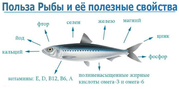 Польза рыбы