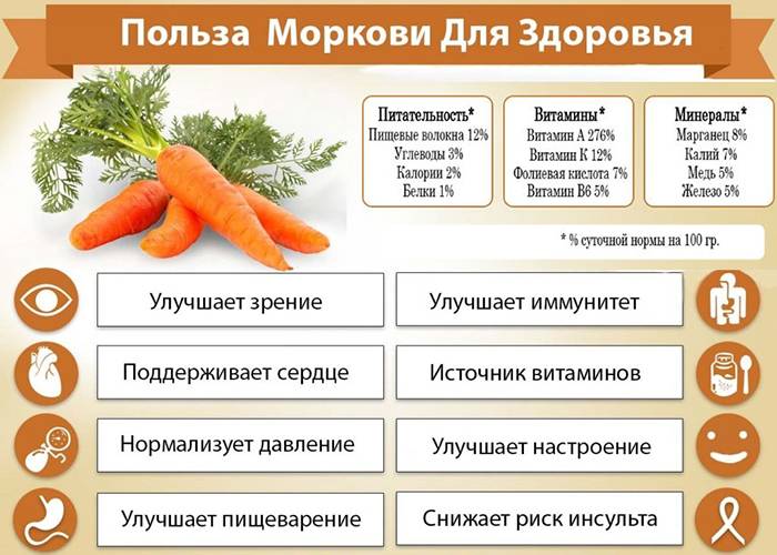 Свойства моркови для организма