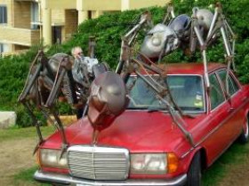Как избавиться от муравьев в вашем автомобиле