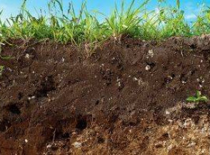 Что такое верхний слой почвы и каковы его преимущества