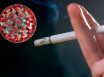 Как курение влияет на риск заболеть коронавирусом