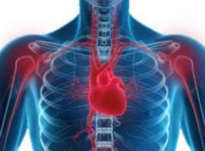Удивительная связь между заболеваниями сердца и воспалением суставов