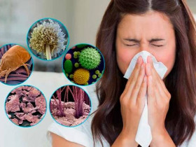 Увлекательные факты о пяти распространенных бытовых аллергенах