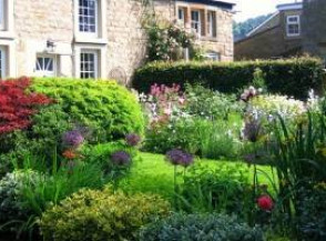 12 лучших растений для английского сада
