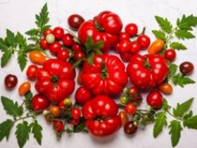9 полезных свойств томатов для здоровья