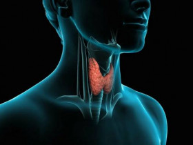5 причин проблем со щитовидной железой и способы их избежать