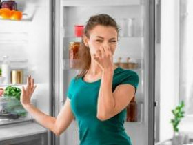 Почему в холодильнике плохо пахнет