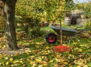 Как подготовить сад к осени