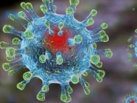 Названа новая версия происхождения коронавируса