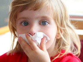 5 бытовых аллергенов, которые живут прямо у вас под носом