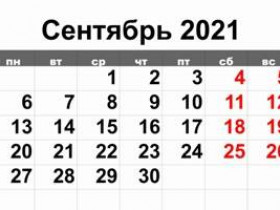 Какие изменения законов ждут россиян в сентябре 2021 года