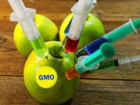 6 важных фактов о ГМО