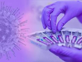 Работодатели будут тестировать сотрудников на антитела к коронавирусу